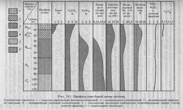 В Апшеронском районе Краснодарского края распространены серо-бурые почвы